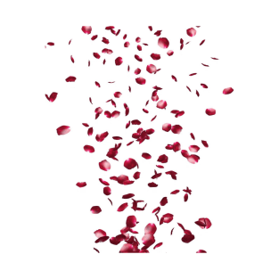 rose petals T-Shirt