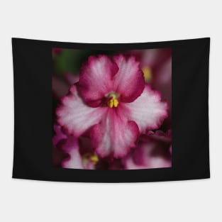 Dark Pinky-red African Violets Tapestry