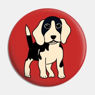 A Beagle is looking at you Pin