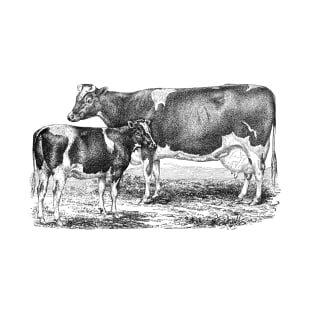 Cow with Calf Black and White Illustration T-Shirt