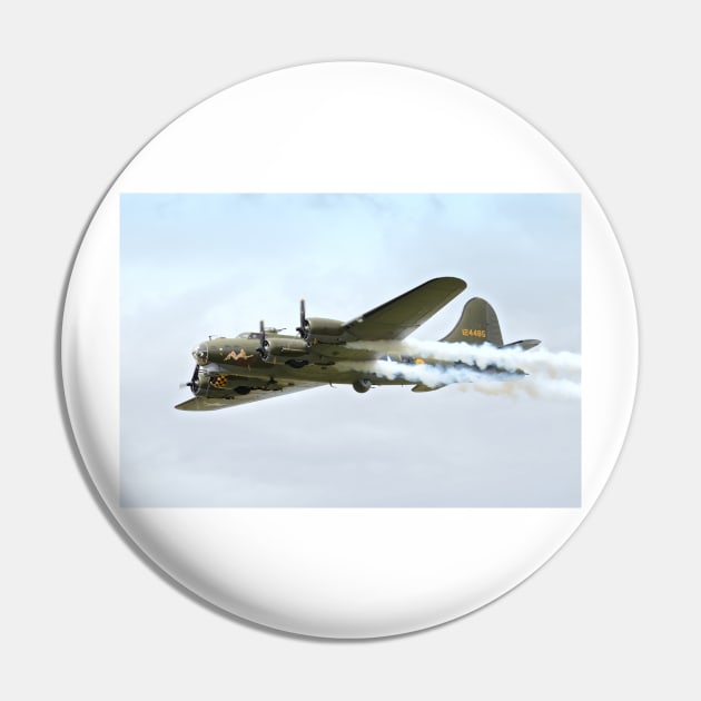 Sally B Collection Pin by Nigdaw