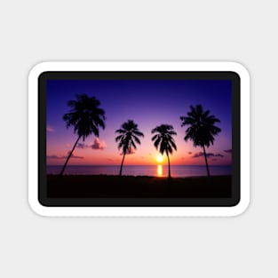 Palm Trees at Sunset Magnet