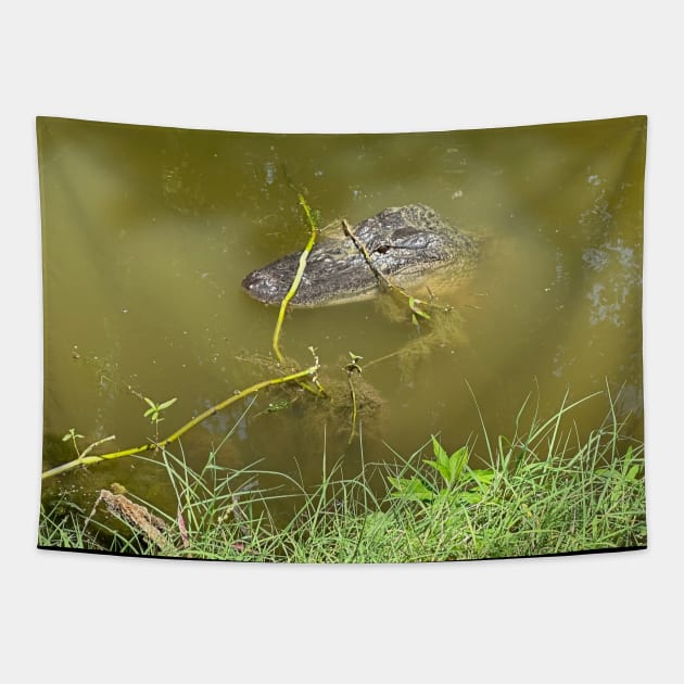 Alligator Tapestry by Willows Blossom