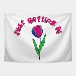 just getting bi if you are ok Tapestry