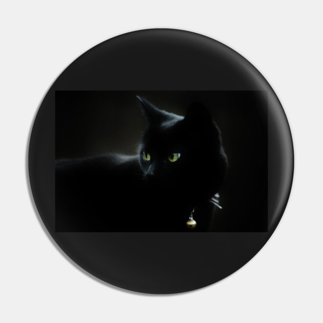 Black Night Pin by Ladymoose