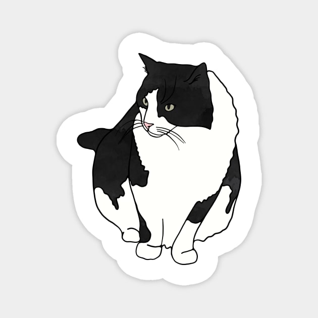 Black and White Cat Magnet by murialbezanson