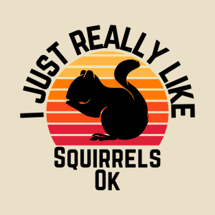 I Just Really Like Squirrels Ok: Vintage Sunset Retro T-Shirt