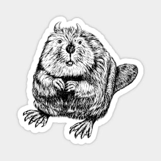 Evil beaver Magnet