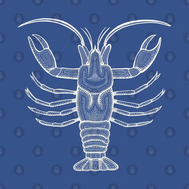 Freshwater Lobster or Crayfish - hand drawn animal design by Green Paladin