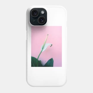 peace lily, lily, flower, peace, plant, white lily, calla lily, bloom, white, white flower, peace lily flower, spathiphyllum, peace flower, house plant, peace lily bloom Phone Case