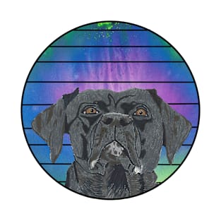 Black Lab in Abstract Colored Circle with Lines T-Shirt