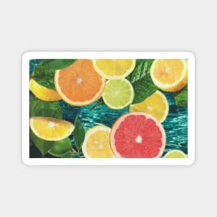 Lemon lime orange citrus summer fruits Magnet