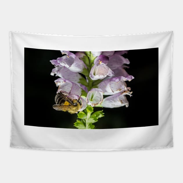 Bee On Obedient Plant Tapestry by Robert Alsop