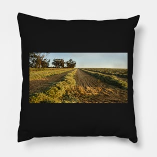 New Season Hay Pillow