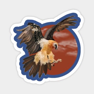 Lammergeier (Bearded Vulture) Magnet