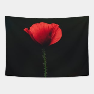 Flower photography Tapestry