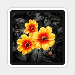 Yellow Sunshine Dahlia Flower - Bumblebee Camo Botanical art Magnet