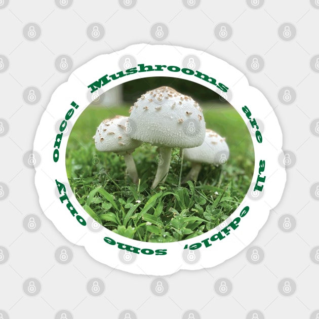 Mushrooms Magnet by DickinsonDesign