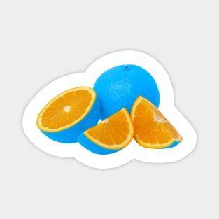 Vibrant Blue Oranges Magnet