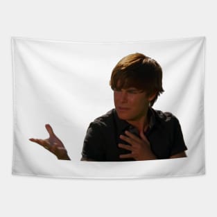 Troy Bolton meme Tapestry