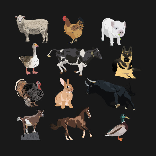 Discover Farm Animals Pattern - Farm Animals - T-Shirt