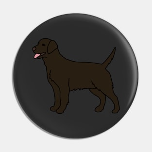 Chocolate Labrador Pin