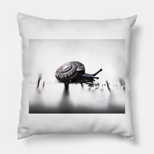 Snail Pillow