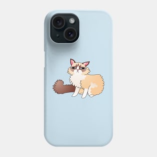 Slightly Suspicious Ragdoll Cat Phone Case