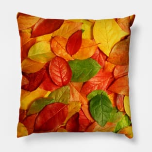 Golden Autumn Leaves Pillow