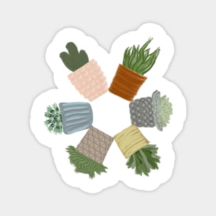 Succulents as a hexagon Magnet