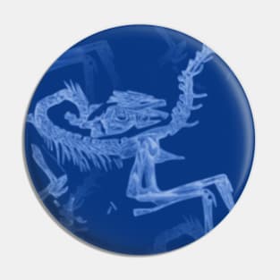 Dinosaur Fossil Blue Cyanotype Pin