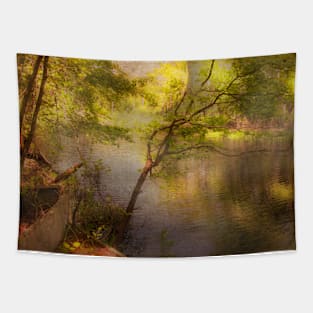 Moonbeam Dream Tapestry