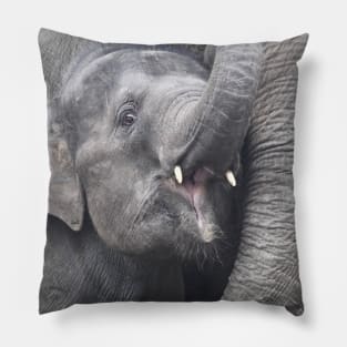 elephant baby / Swiss Artwork Photography Pillow