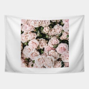 Classic blush roses Tapestry