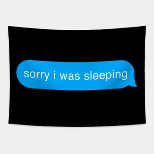 Sorry I Was Sleeping Bubble Imessage Lazy Text Tapestry