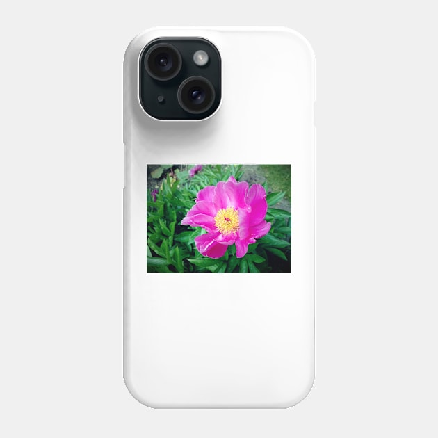 peony Phone Case by Gourmetkater