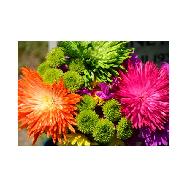 Colorful Flower Power by Debra Martz by Debra Martz