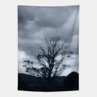 Gothic Tapestry