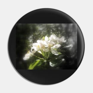 apple blossoms #3, focal black and white Pin