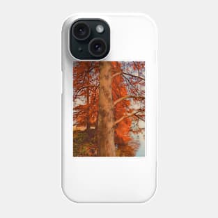 Red Autumn Tree on the lake in Zurich Phone Case