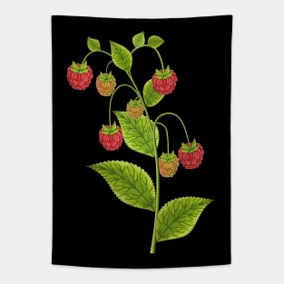 Raspberries Tapestry