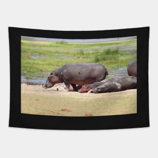 Hippopotamus, Kenya Tapestry