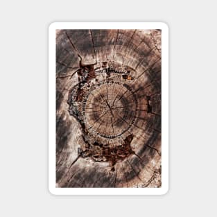 Spiral Inner Tree Rings Eroding Magnet