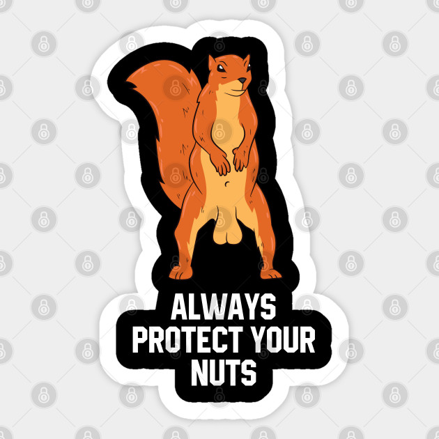 Funny Squirrel Meme Always Protect Your Nuts - Squirrel - Sticker