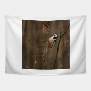 Middle spotted woodpecker on a tree Tapestry