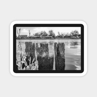 Wooden mooring posts, River Bure, Horning Magnet