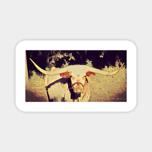 Texas Longhorn Magnet