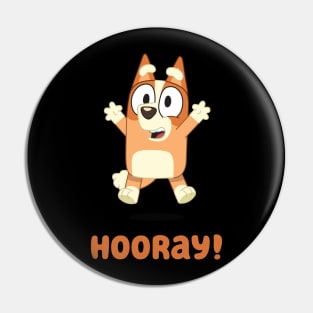 Hooray! Pin