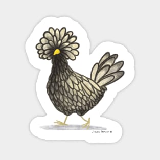 Polish Chicken Magnet