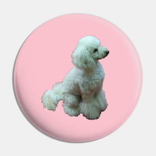 Apricot The Poodle Pin